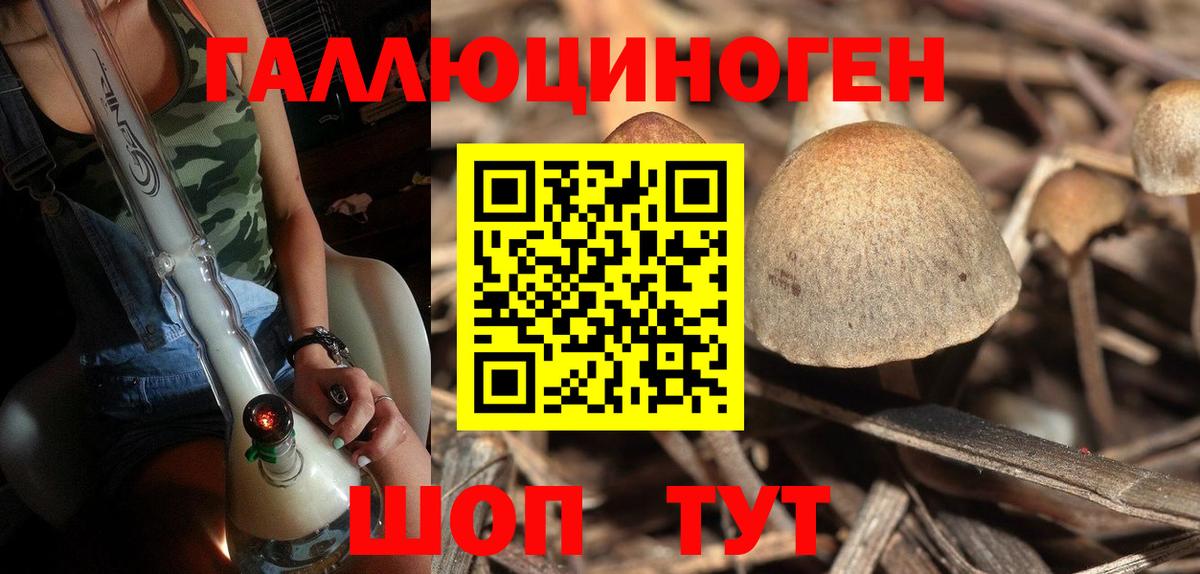 Воскресенск  Галлюциногенные грибы Psilocybine cubensis  Вход с VPN 